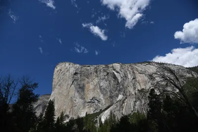 DSC_4333 (Large).JPG